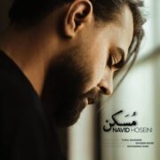 دانلود آهنگ جدید نوید حسینی مسکن